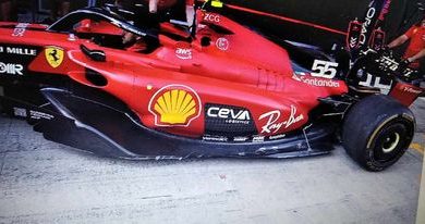 Photo of F1 | Ferari: osnovno pitanje je iskoreniti pliskavice