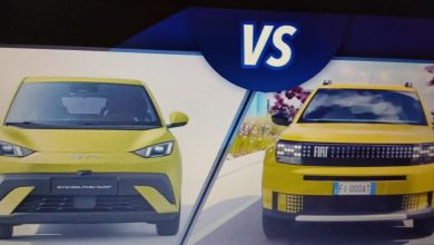 Photo of BYD Dolphin Surf vs Fiat Grande Panda, duel između pristupačne električne energije