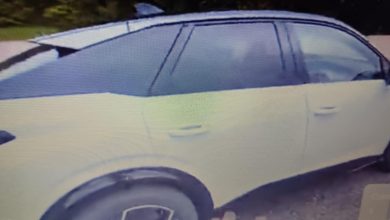 Photo of Cyberpandino, super tehnološka Fiat Panda koja će preći svijet